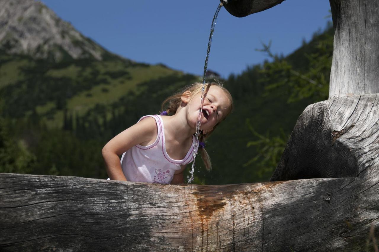 Activ-Family-Apart-Wisiol-Pitztal Sommercard Inklusive Jerzens Exterior photo